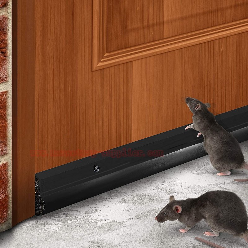 Best Door Sweeps For Preventing Small Pests (Mice, Insects)