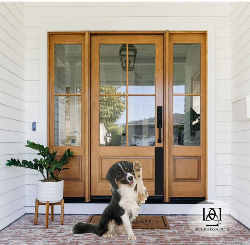 Best Kick Plates For Homes With Pets (Scratch Protection)
