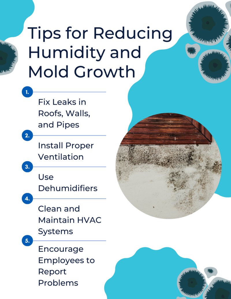 Best Practices For Preventing Mold Growth Under Thresholds