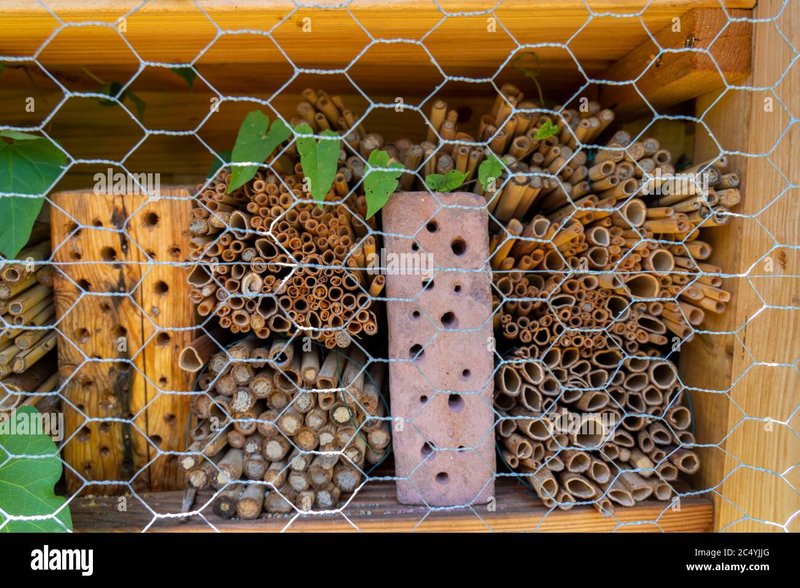 Best Products For Protecting Hardware From Insect Nesting