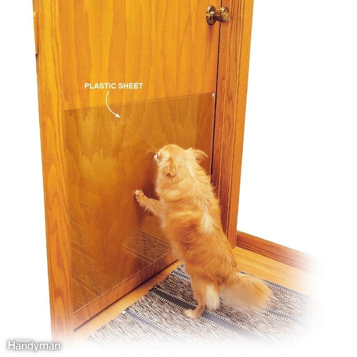Best Ways To Keep Door Hardware Clean In Pet-Friendly Homes