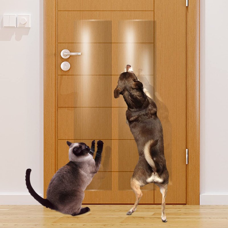 How To Protect Door Hardware Finishes From Pet Scratches