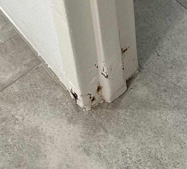 My Door Hardware Is Corroding Quickly: What'S Causing It?