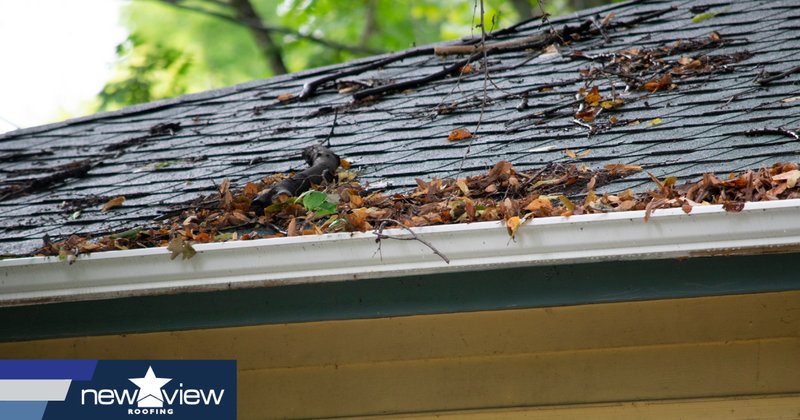 Repairing Hardware That'S Damaged By Tree Sap Or Bird Droppings