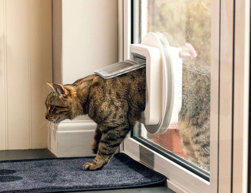 Retrofitting A Door For A Dog Door Or Cat Door (Hardware Integration)