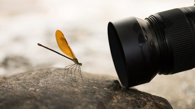 Troubleshooting Hardware Issues Using A Camera With Macro Lens (Close-Up Inspection)