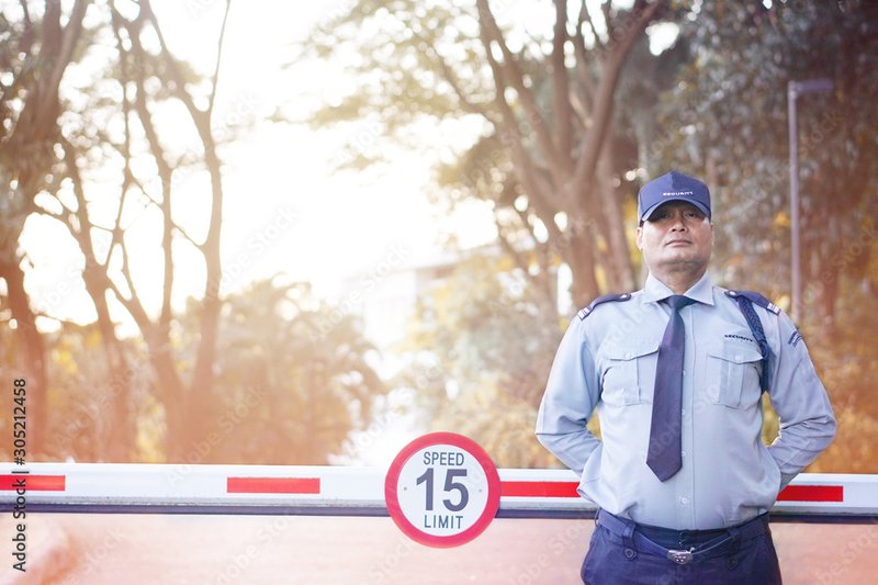 Understanding The Role Of A Door Guard In Interior Security