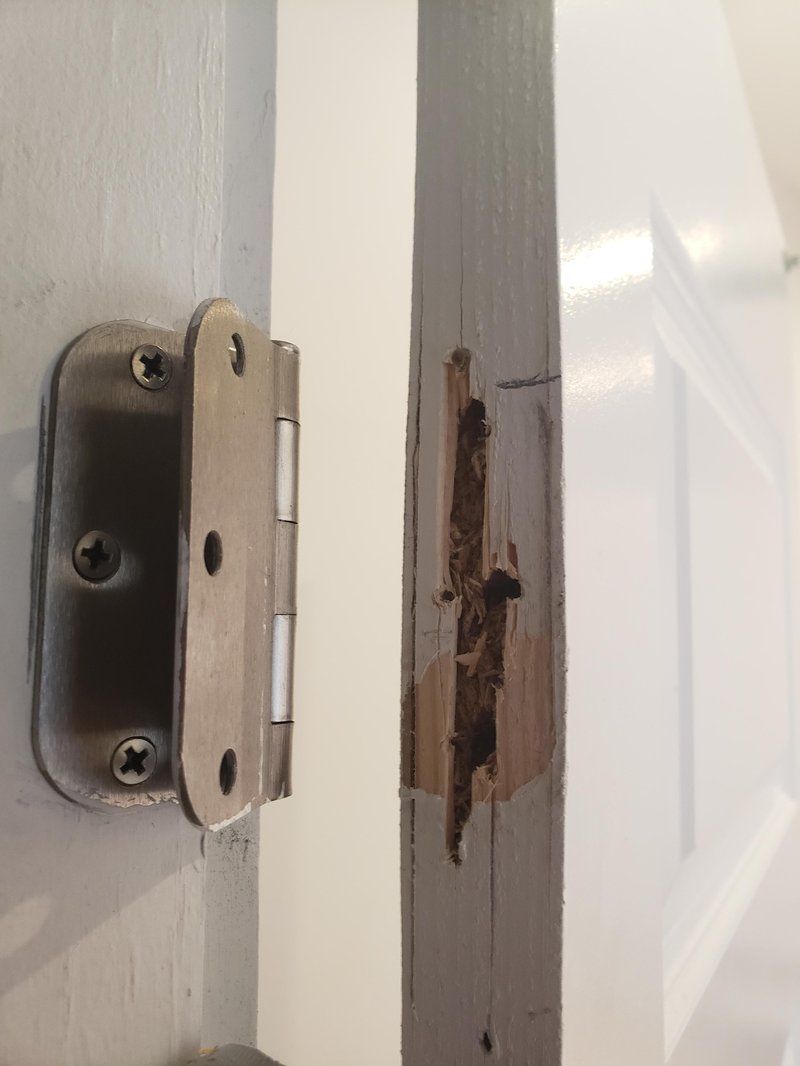 Why Does My Door Hinge Flex More Than Usual? (Loose Screws/Mortise)
