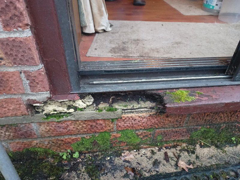 Why Is My Exterior Door Sill Showing Signs Of Rot? (Prevention)